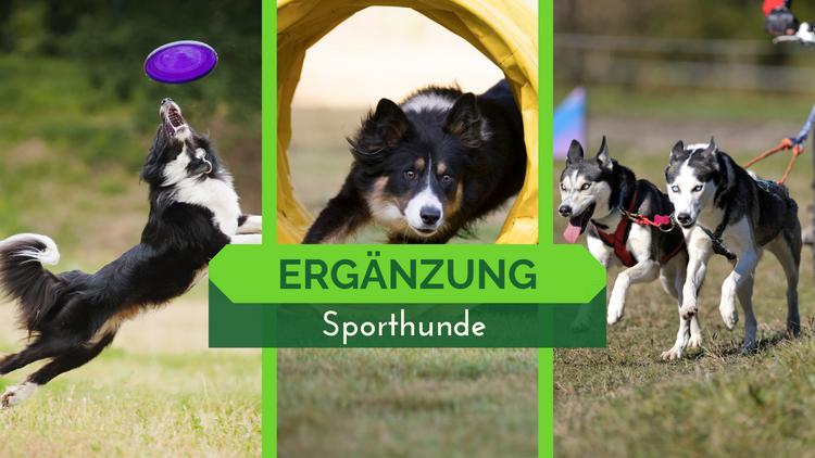 Sportzusätze