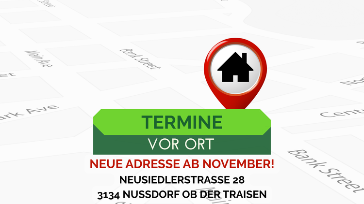 Beratungstermine