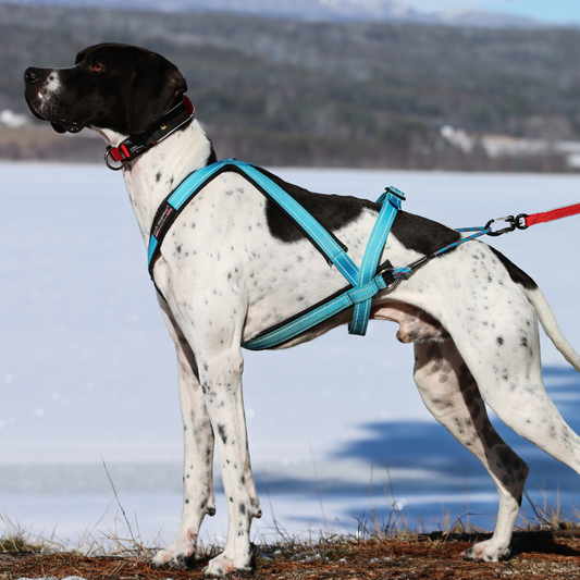 VIP Multisport Zuggeschirr