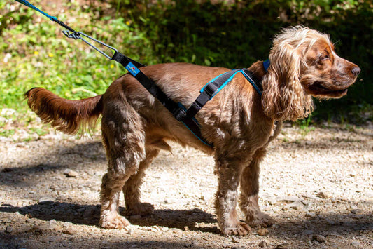 Inlandsis Open Back Zuggeschirr