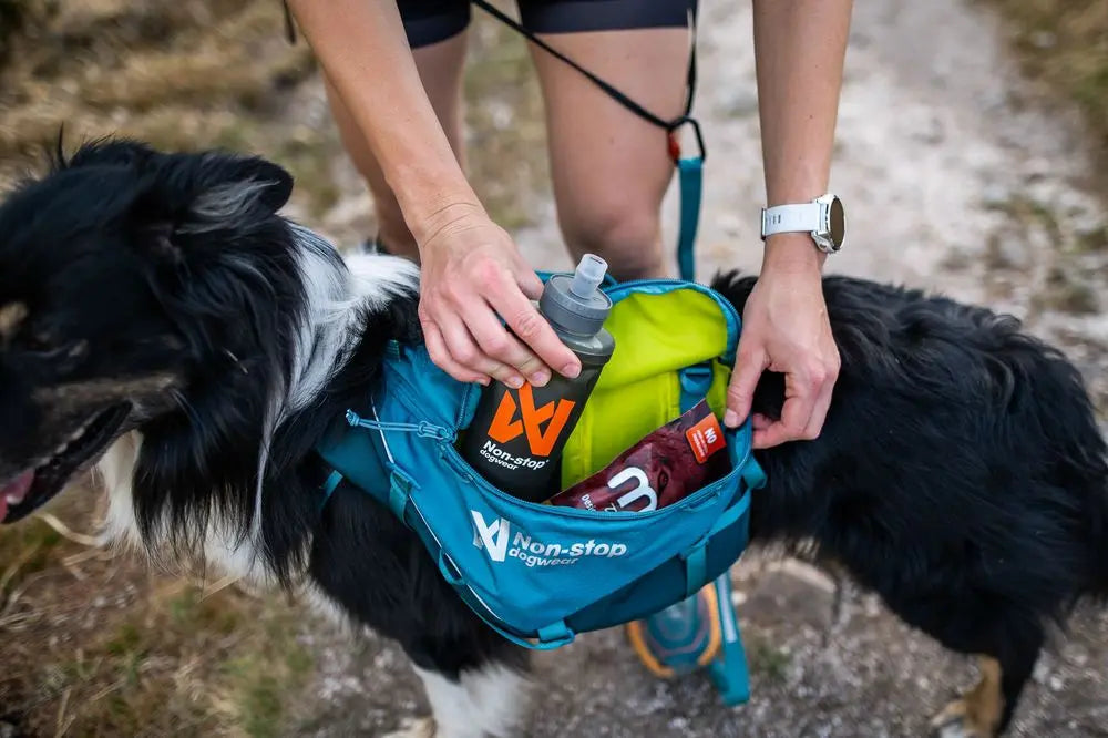 Trail Quest Dog Backpack - Hunderucksack