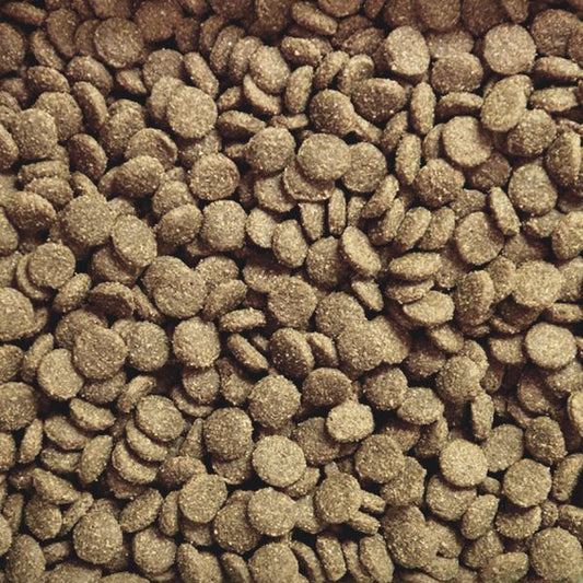 DOGHUS Nordic Wild - Ente & Kartoffel