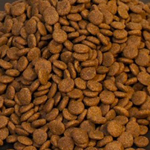 DOGHUS Nordic Power Huhn & Lachs (vorm. Active High Energy Meal)