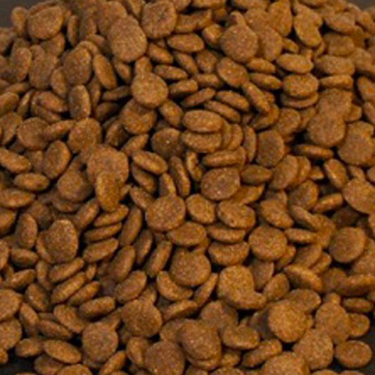 DOGHUS Nordic Power Huhn & Lachs (vorm. Active High Energy Meal)