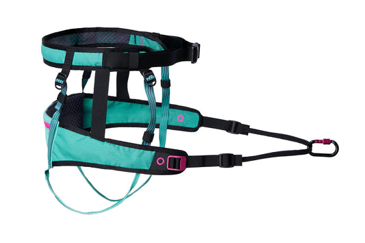 Non-stop CaniX Belt 2.0 aqua/pink