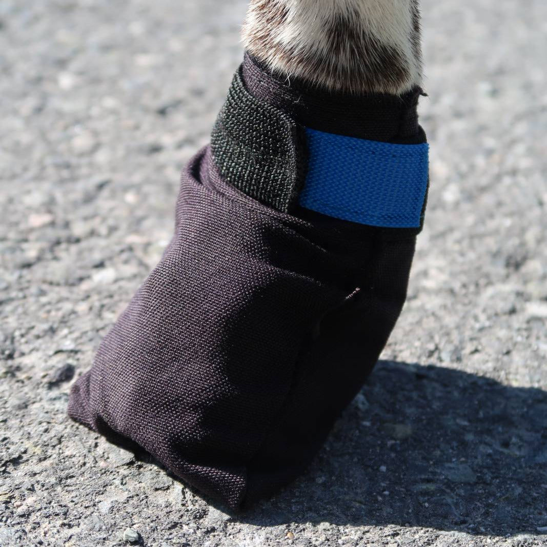 VIP FINNMARK Booties (4 Stk)