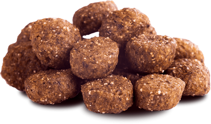 The Goodstuff Huhn (Puppy/Junior)