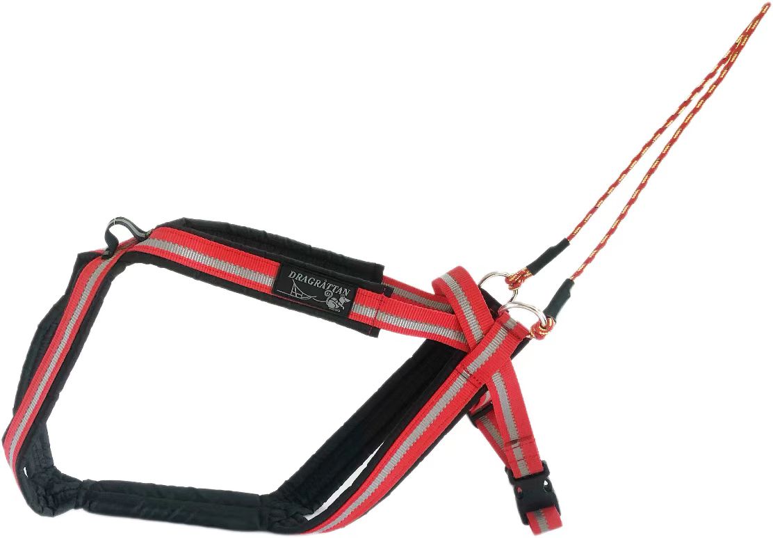 Ersatzgurtband für Multisport Harness (statt dem Seil)