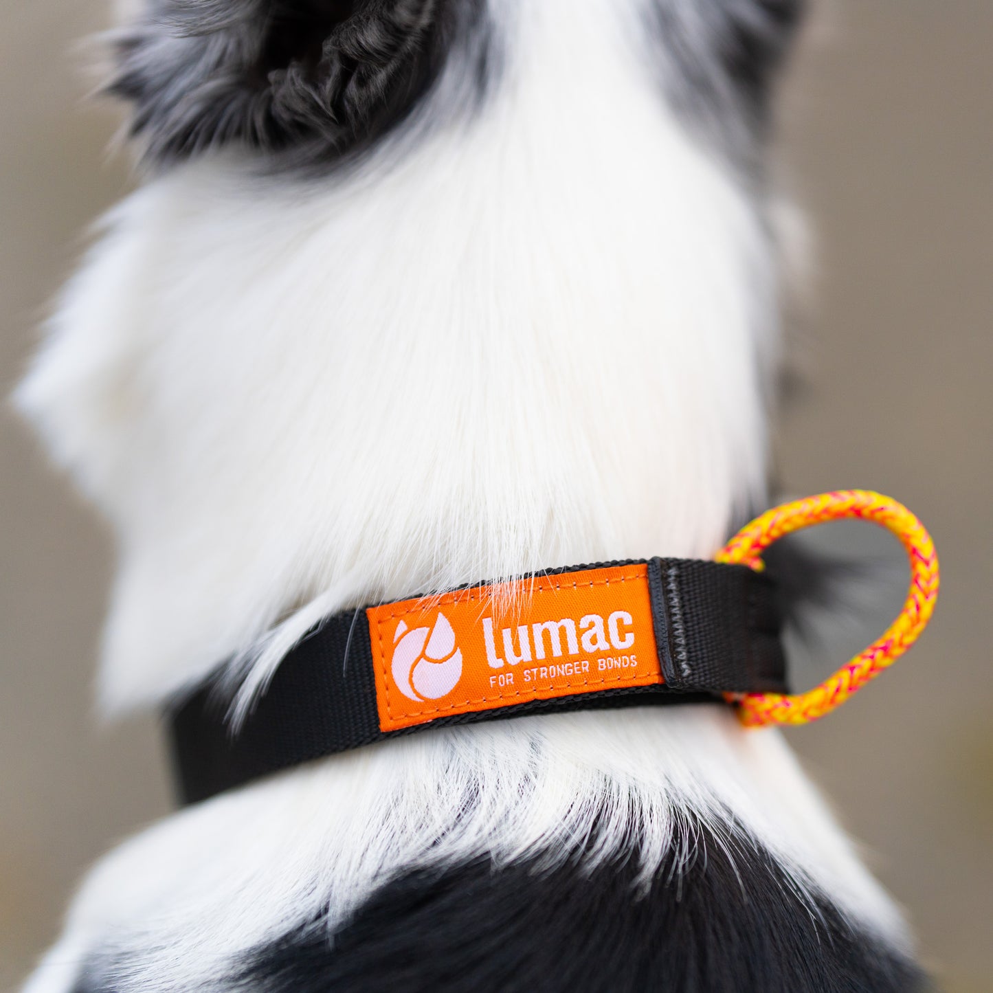 Lumac nOring Collar Click