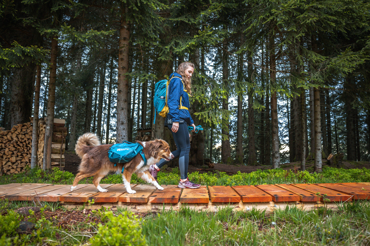 Trail Quest Dog Backpack - Hunderucksack
