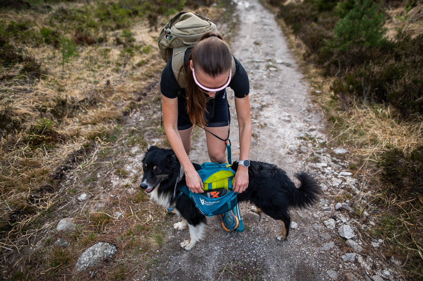 Trail Quest Dog Backpack - Hunderucksack