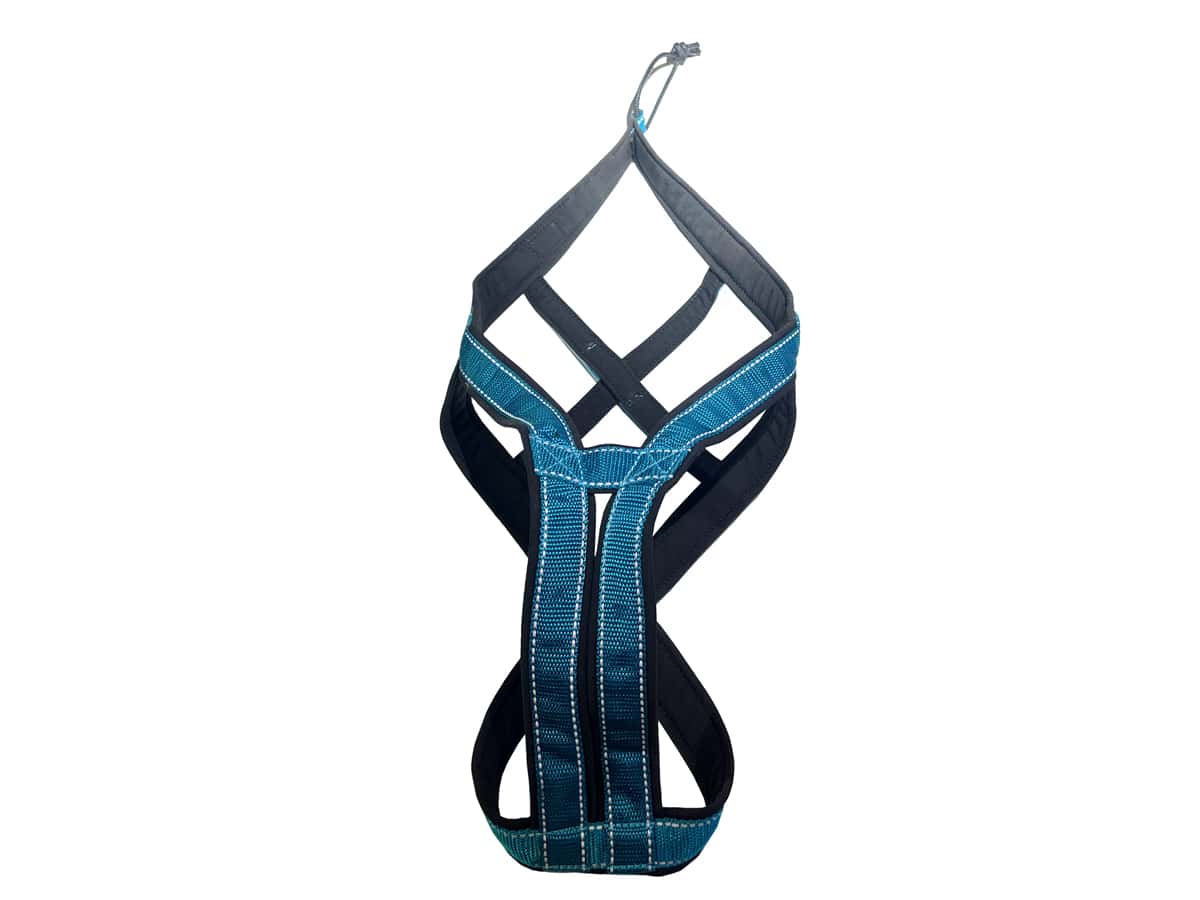 TrOP Backbone DC Harness