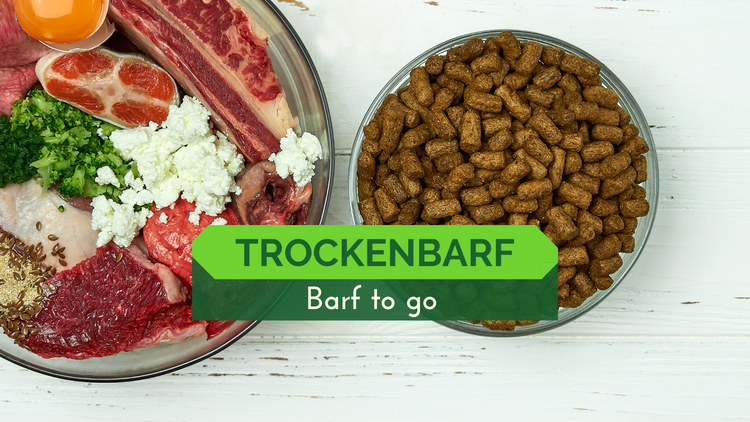 Trockenbarf