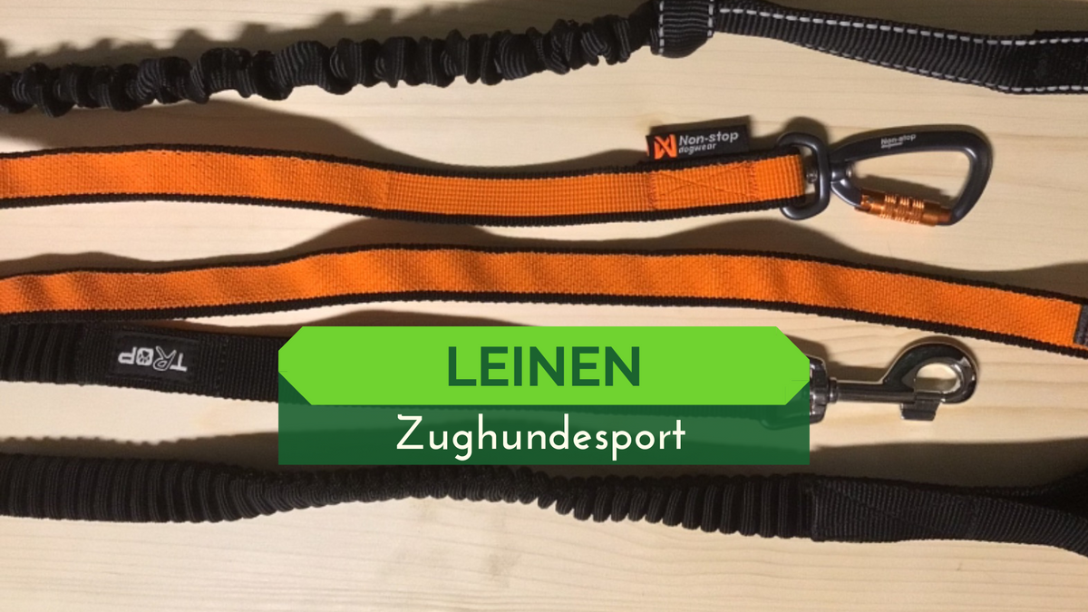 Zugleinen Bike/Scooter