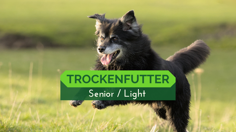 Trockenfutter Senior