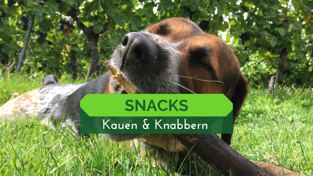 Kauen & Knabbern