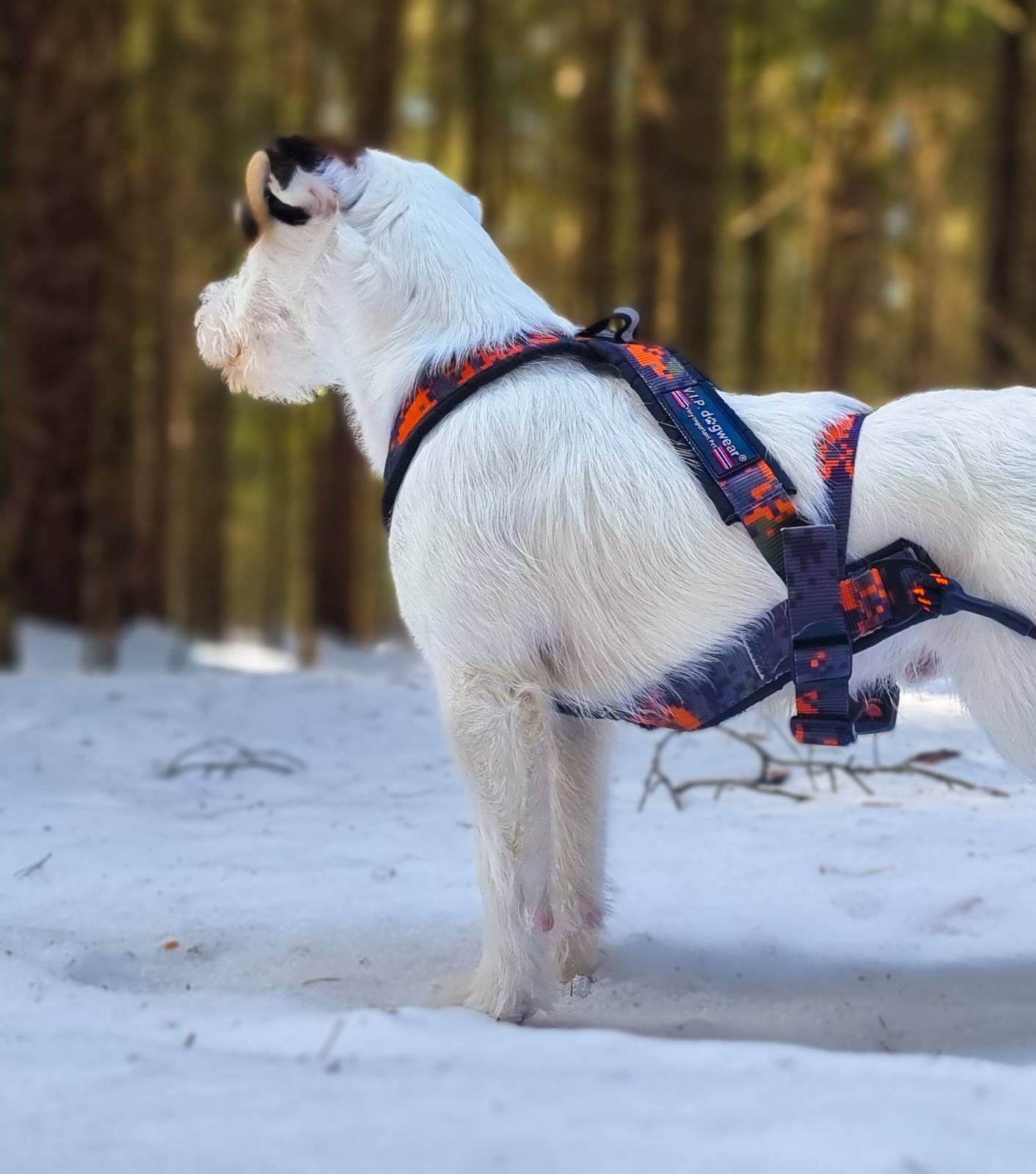 V.I.P. Dogwear Multisport Harness Hunting Edition