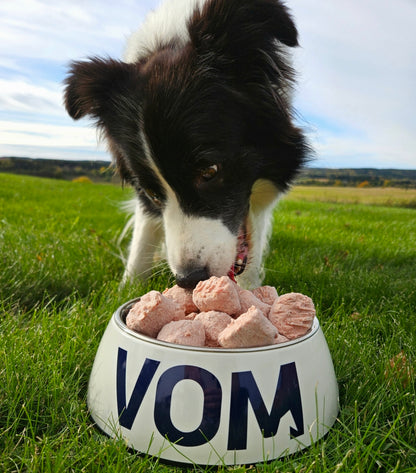 VOM Active Protein