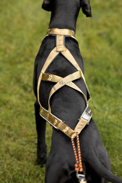 V.I.P. R-Back Signature Gold