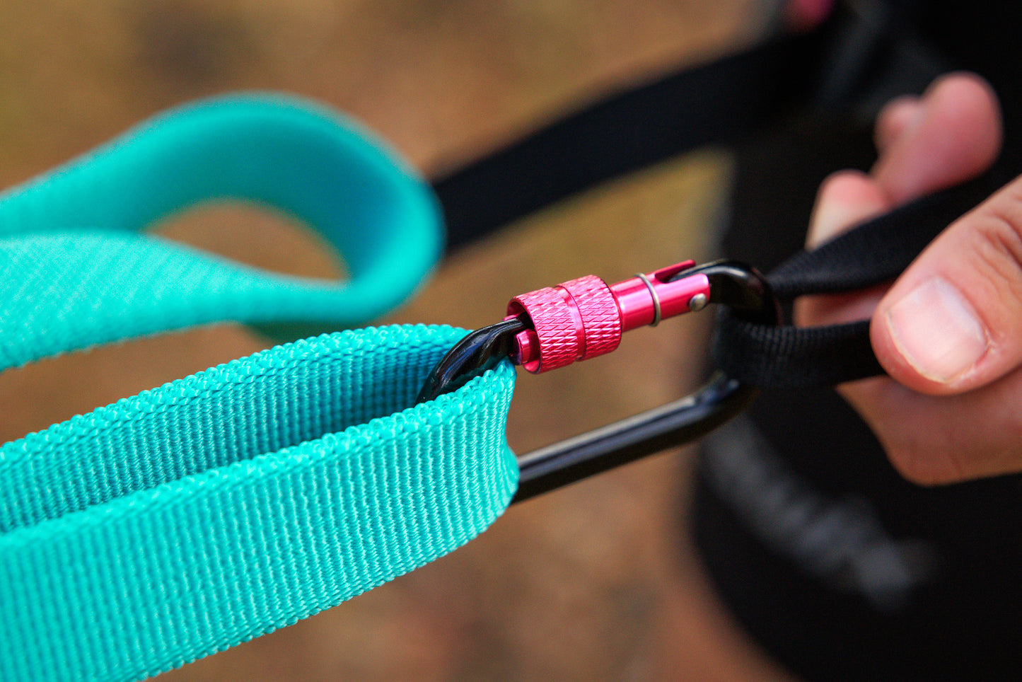 Non-stop Bungee Leash aqua/pink