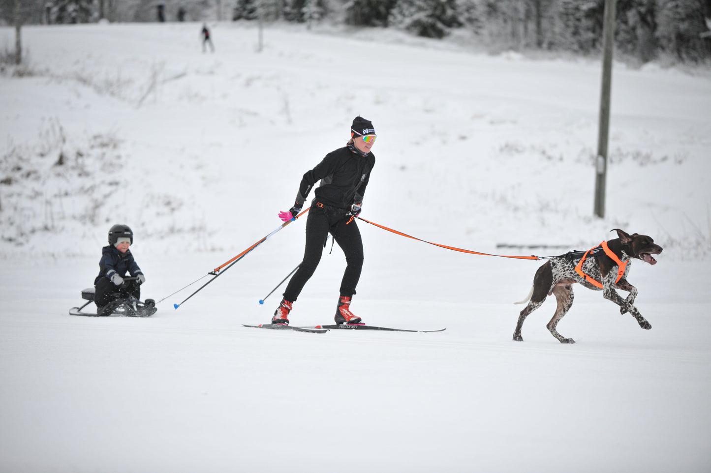 Non-stop Loype Belt pro