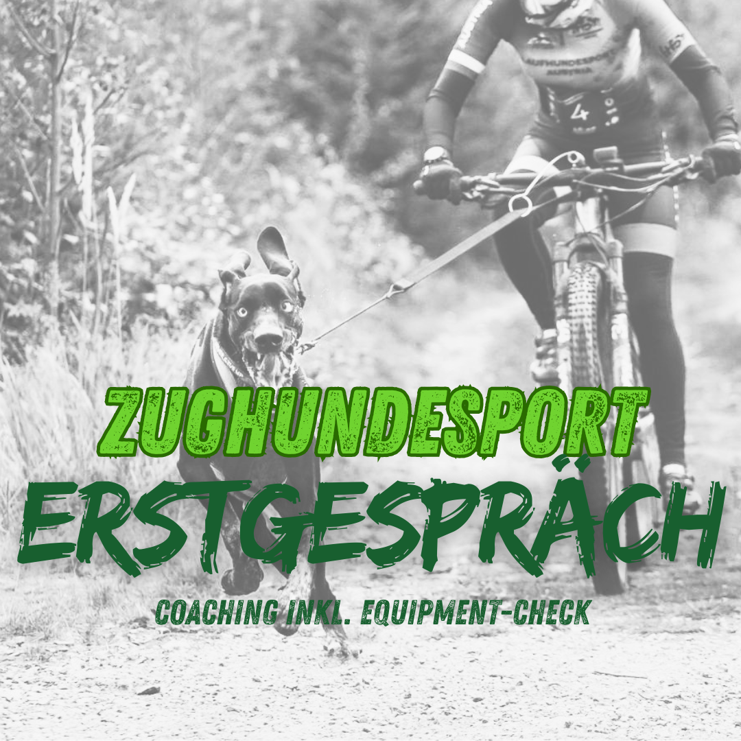 Erstgespräch Zughundesport