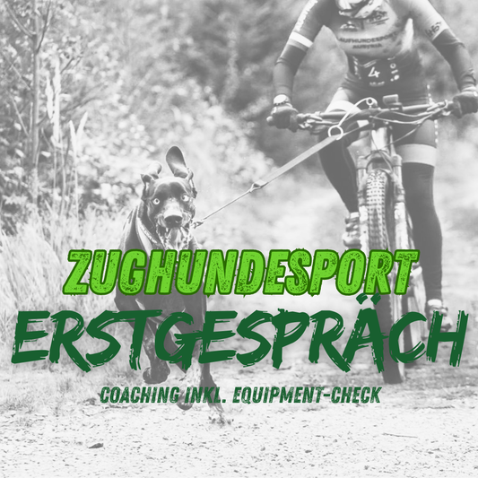 Erstgespräch Zughundesport