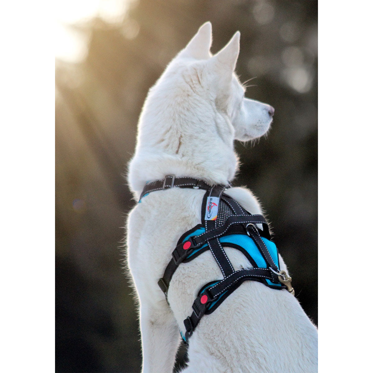 Sledwork Open Range Harness