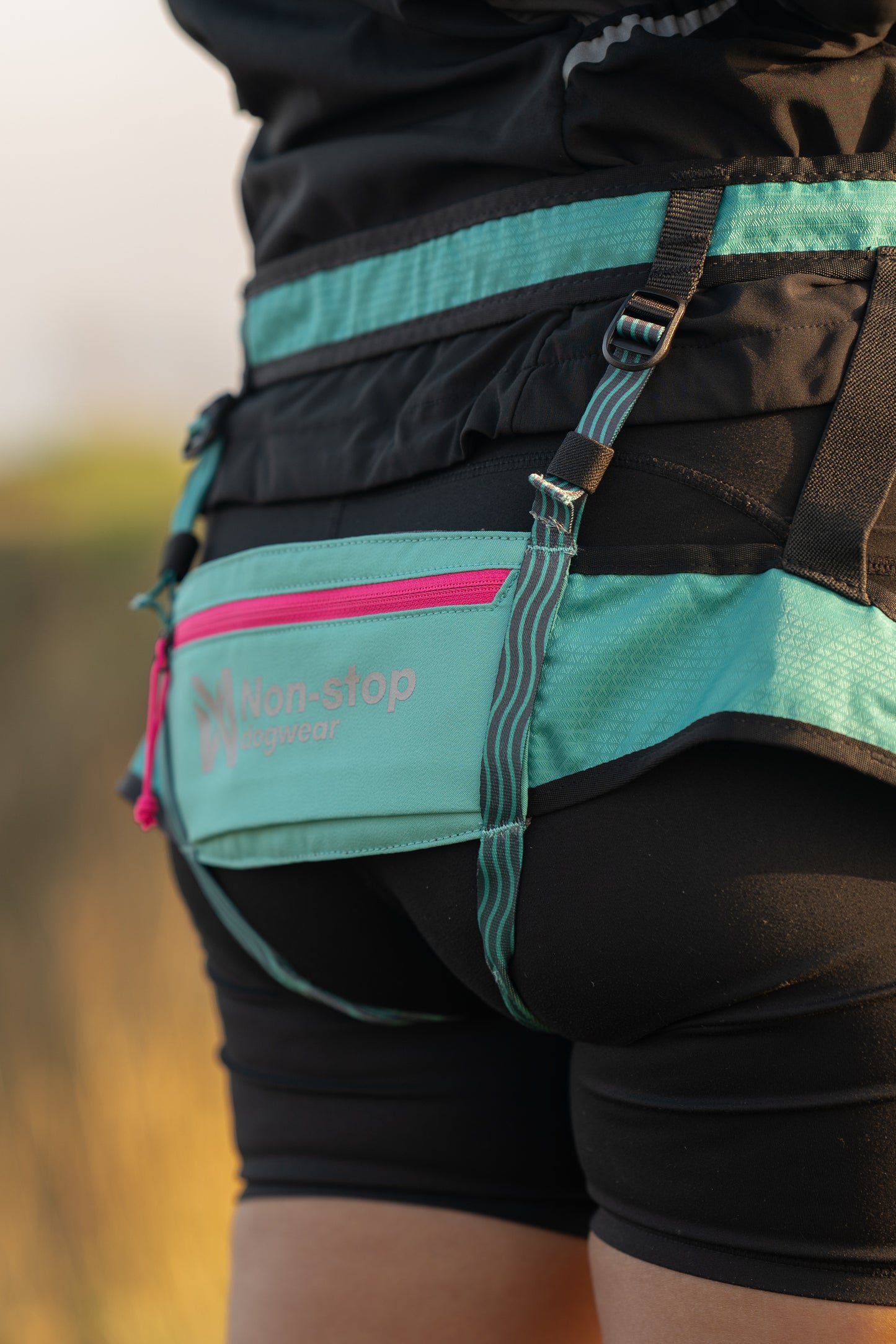 Non-stop CaniX Belt 2.0 aqua/pink