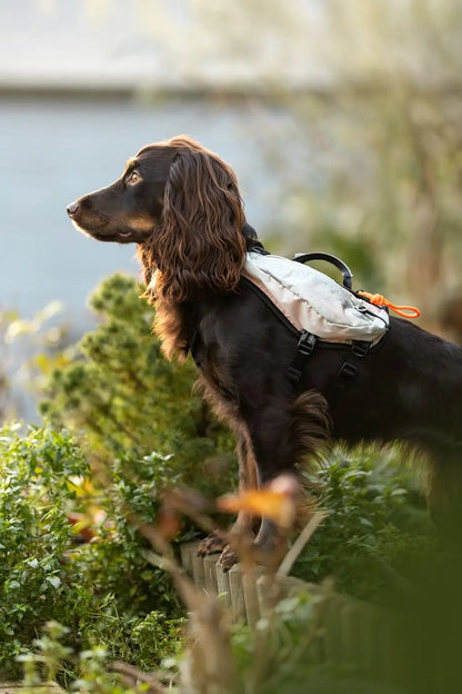 Trail Light Dog Backpack - Hunderucksack