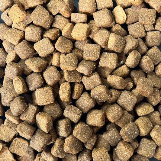 DOGHUS Nordic Power Huhn & Reis