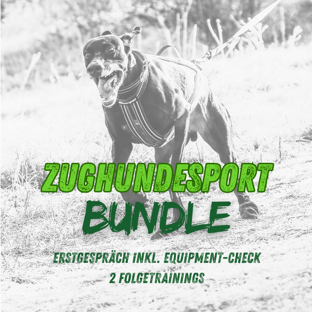 Zughundesport Trainingsbundle