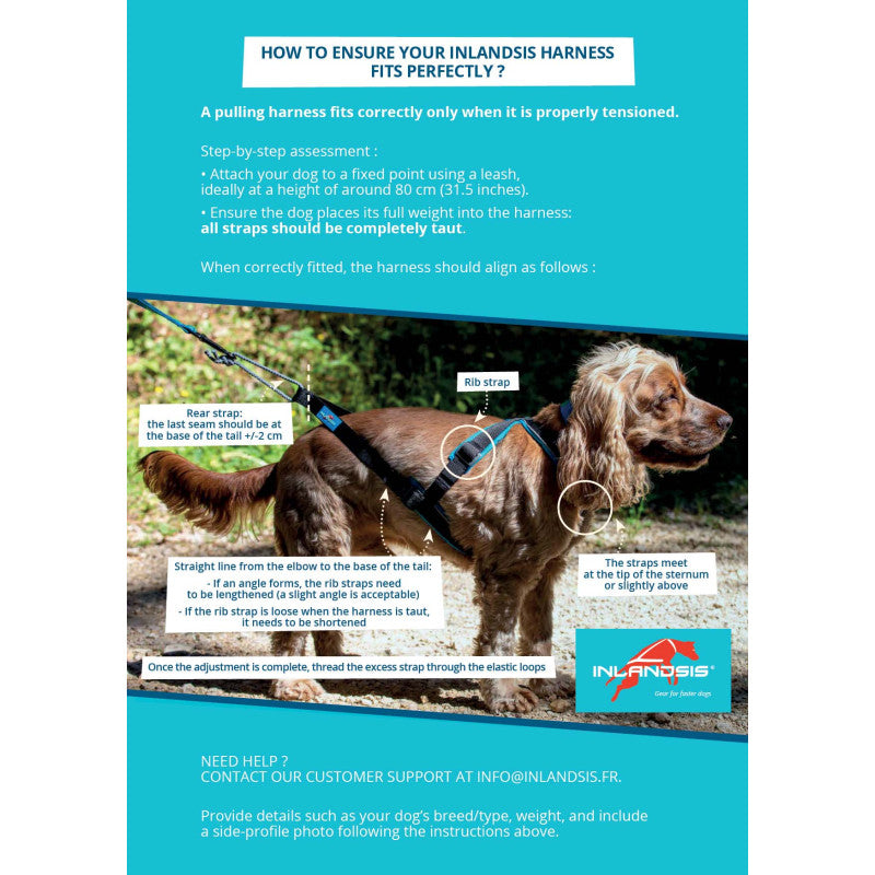 Inlandsis Open Back Zuggeschirr