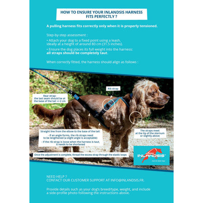 Inlandsis Open Back Zuggeschirr