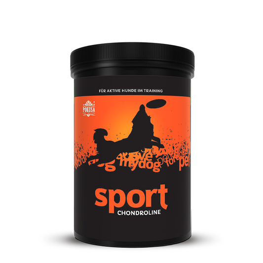 Pokusa ChondroLine Sport 350 g