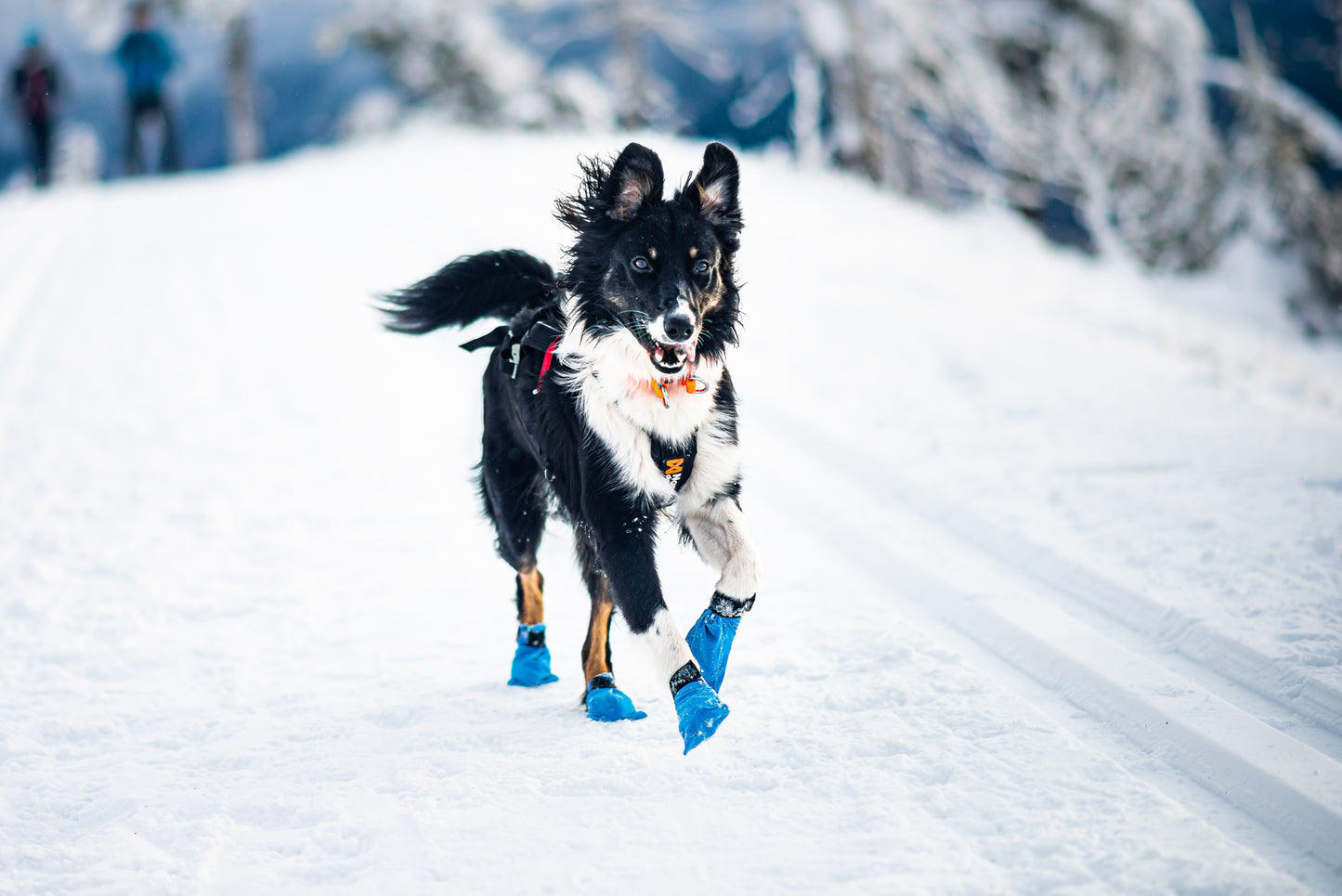 Non-stop Long Distance Booties (4 Stück)