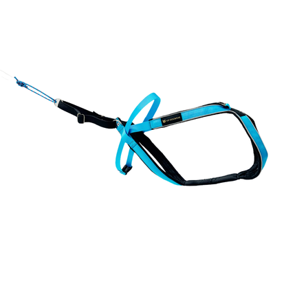 VIP Multisport Zuggeschirr türkis 2.0 (long)