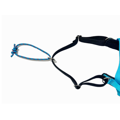 VIP Multisport Zuggeschirr türkis 2.0 (long)