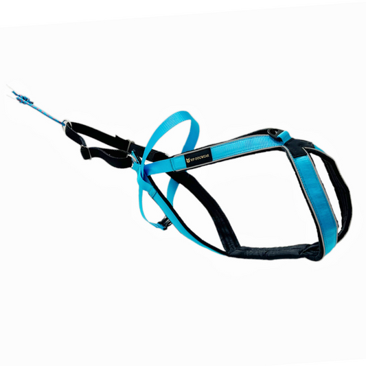 VIP Multisport Zuggeschirr türkis 2.0 (long)