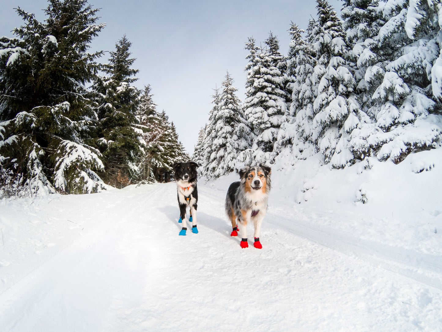 Non-stop Long Distance Booties (4 Stück)