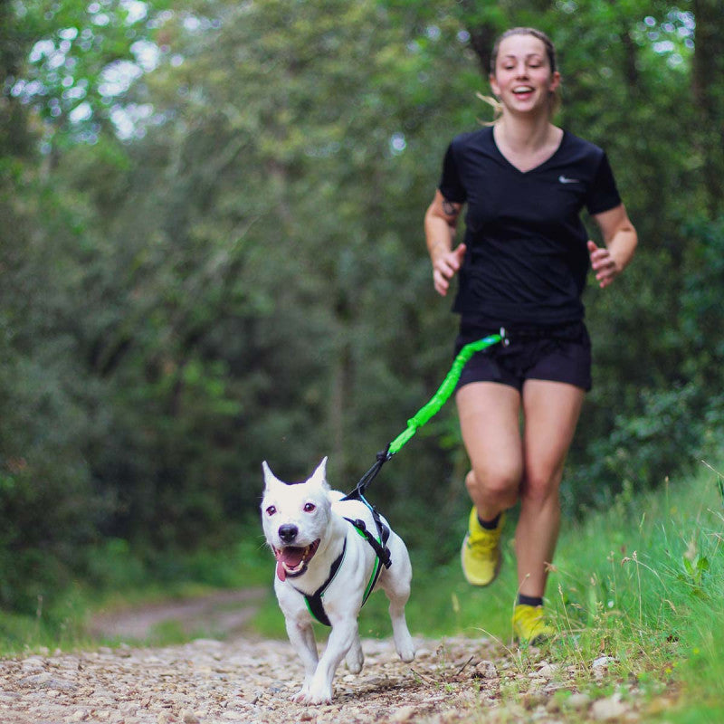 Inlandsis Open Back Zuggeschirr