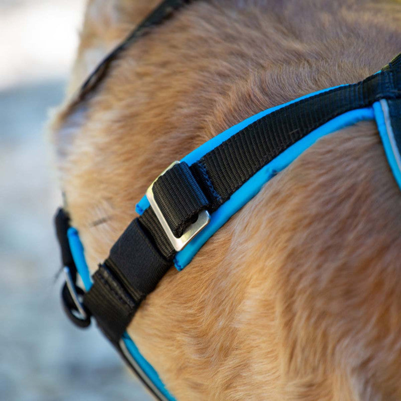 Inlandsis Open Back Zuggeschirr