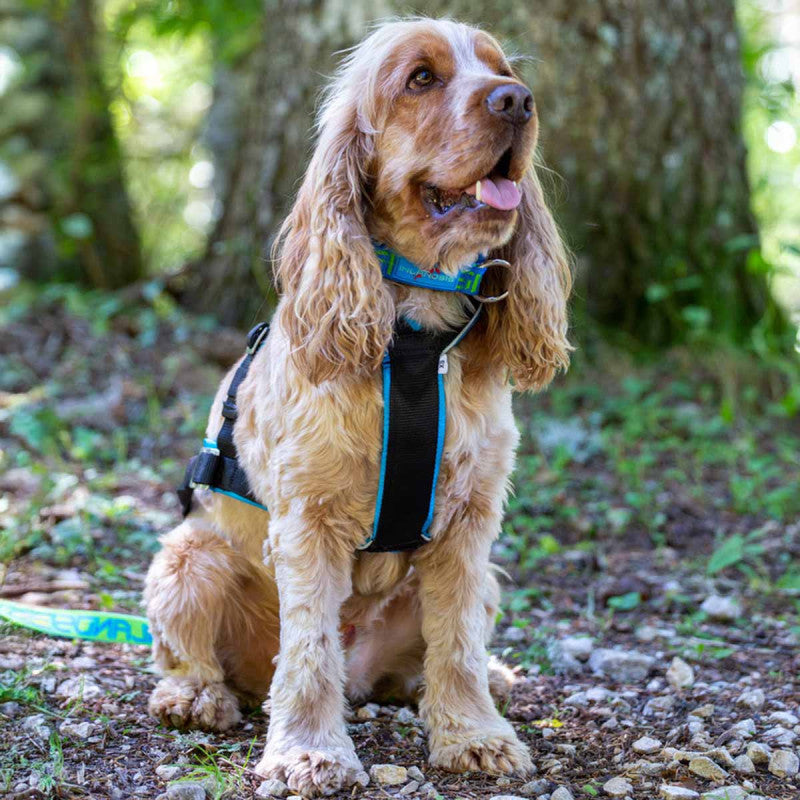 Inlandsis Open Back Zuggeschirr