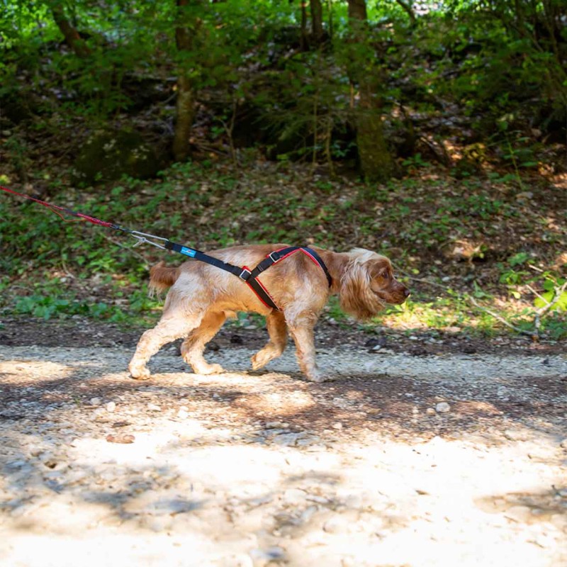 Inlandsis Open Back Zuggeschirr