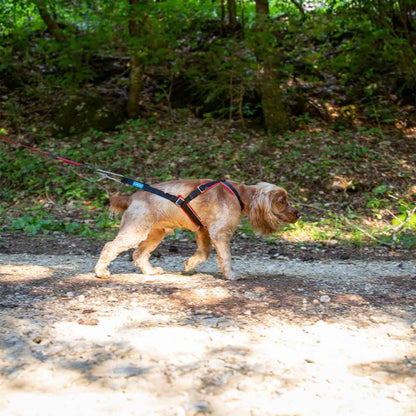 Inlandsis Open Back Zuggeschirr