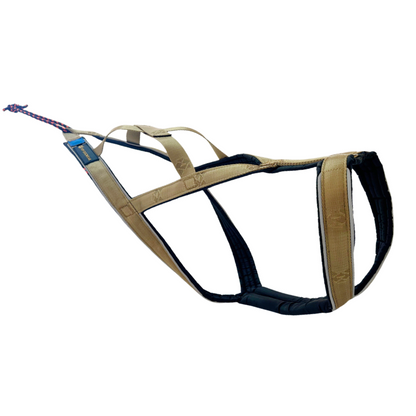 V.I.P. R-Back Signature Gold