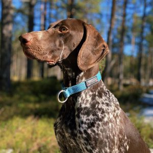 V.I.P. Dogwear Halsband Zugstopp