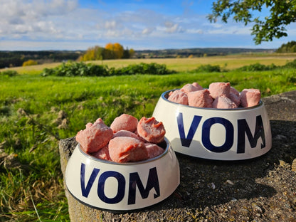 VOM Active mit Weißfisch
