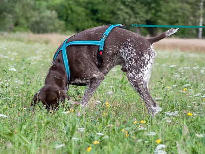 TrOP Snoop Harness (Mantrailing)