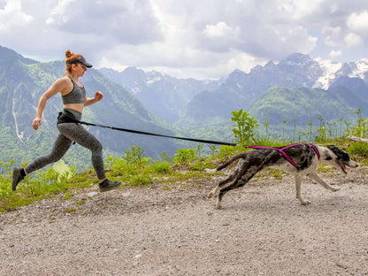 TrOP Lifeline Bungee Leash